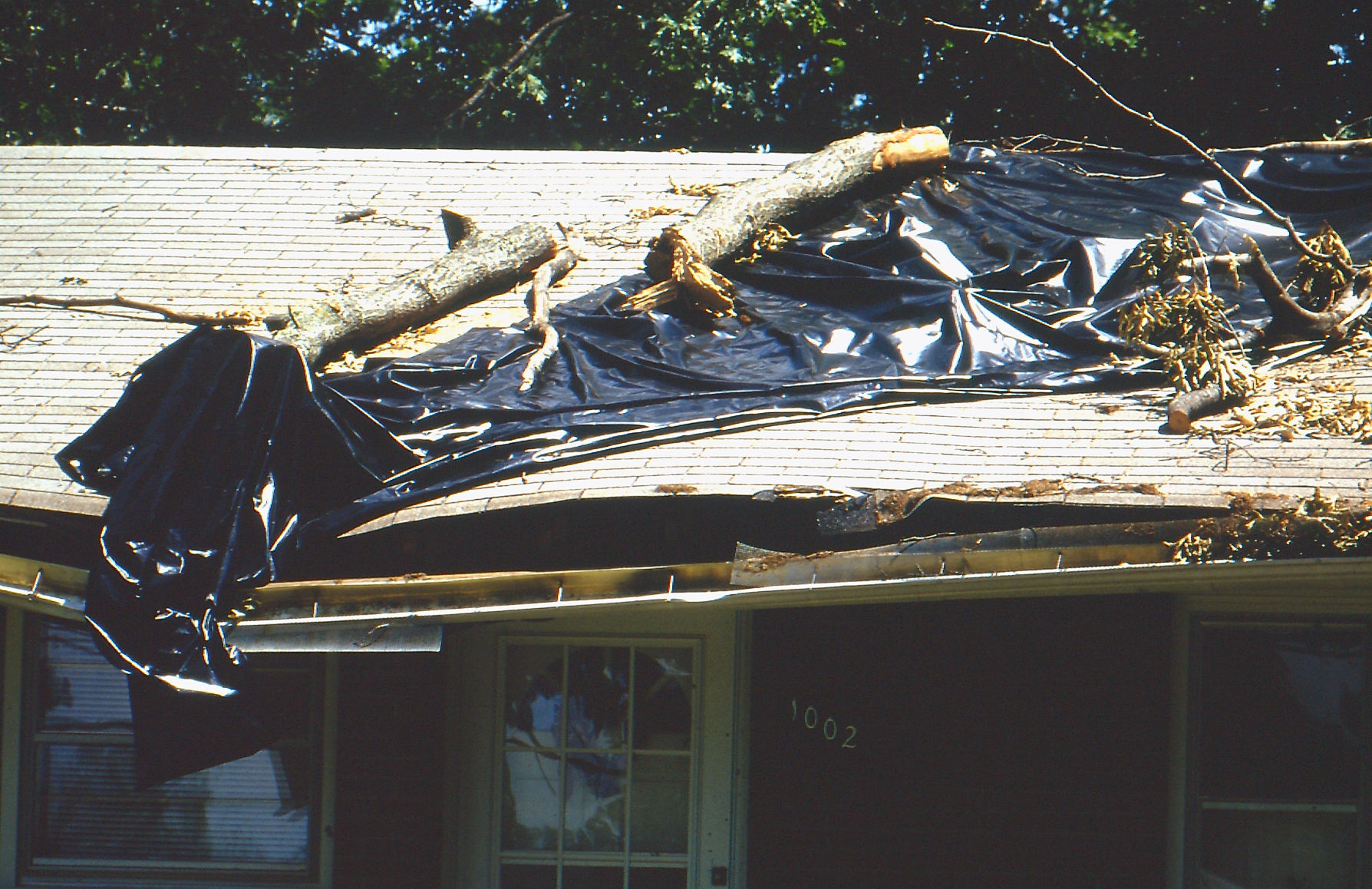 Windstorm of 1993